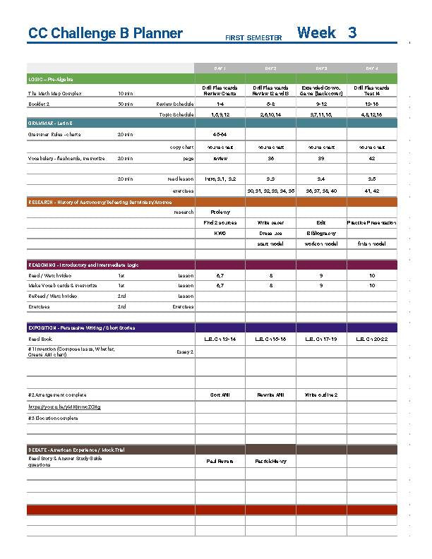 The Best Challenge B Year Daily Lesson Plans w/Resources