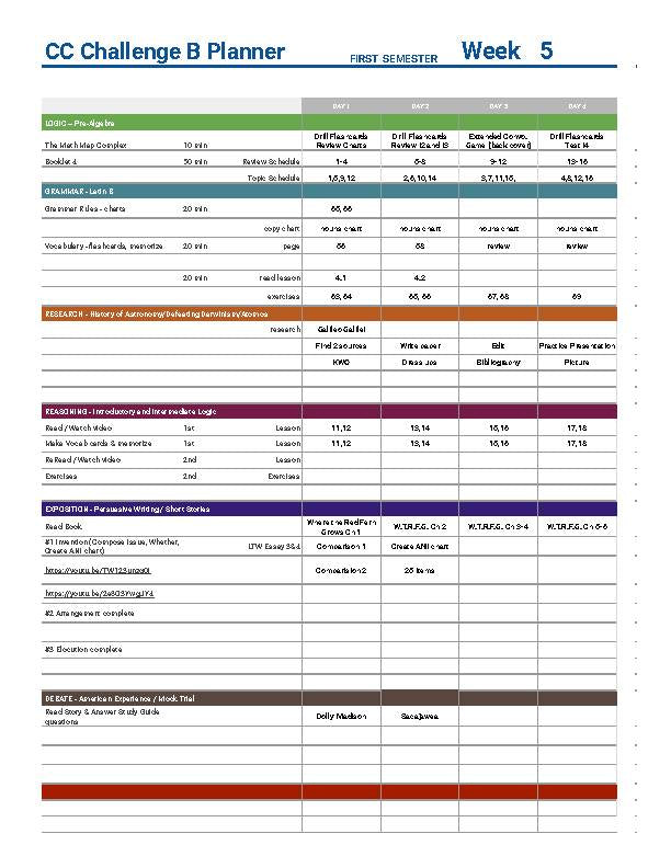 The Best Challenge B Year Daily Lesson Plans w/Resources