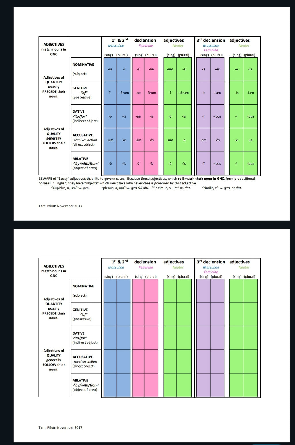 Latin Copy Charts - Parts of Speech