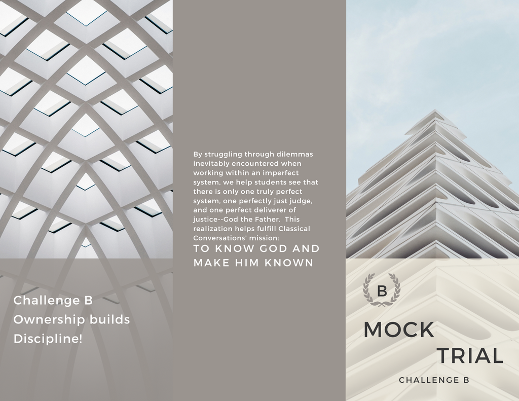 CC Ch B Mock Trial Help for Directors